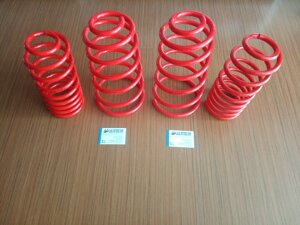 molle-assetto-hp3-motorsport-fiat-punto-gt