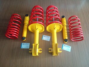 assetto-sportivo-ta-technix-fiat-punto-gt