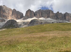 img_0284.jpeg img_0284.jpeg