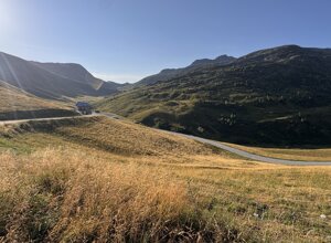 img_1766.jpeg img_1766.jpeg