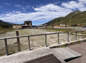 img_0331.jpeg img_0331.jpeg