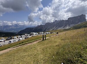 img_0304.jpeg img_0304.jpeg