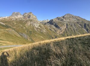 img_1771.jpeg img_1771.jpeg
