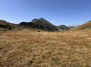 img_1767.jpeg img_1767.jpeg