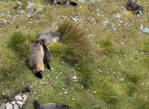 img_0307.jpeg img_0307.jpeg