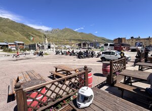 img_0333.jpeg img_0333.jpeg