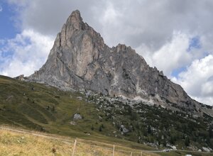 img_0359.jpeg img_0359.jpeg