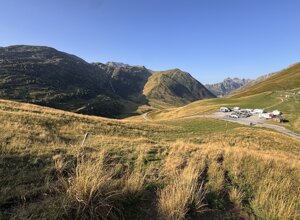 img_1769.jpeg img_1769.jpeg