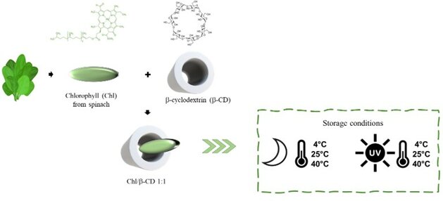 ga manuscript (1).jpeg