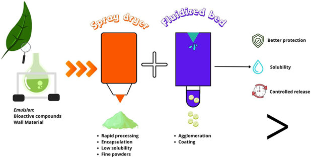 graphical abstract.jpeg