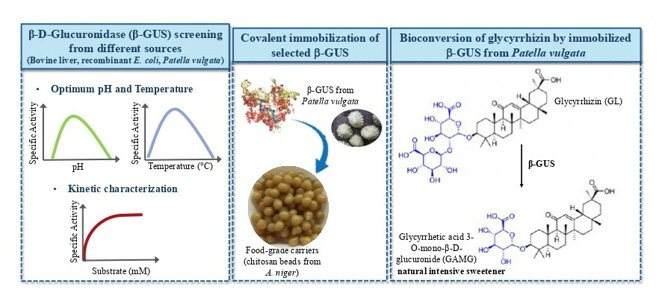 graphical abstract_pages-to-jpg-0001.jpeg