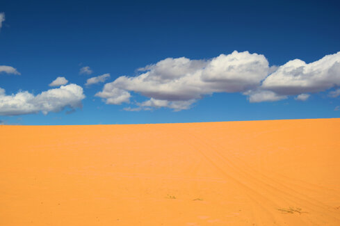 through the desert.jpeg