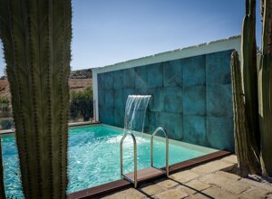 eyJpdCI6IkdpYXJkaW5vIEJvdGFuaWNvLCBSZWxhaXMgR2FyZGVuIENhY3R1cyJ9