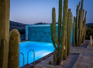 eyJpdCI6IkdpYXJkaW5vIEJvdGFuaWNvLCBSZWxhaXMgR2FyZGVuIENhY3R1cyJ9