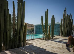 eyJpdCI6IkdpYXJkaW5vIEJvdGFuaWNvLCBSZWxhaXMgR2FyZGVuIENhY3R1cyJ9