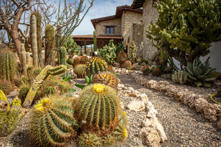 home - Garden Cactus B&B Relais suite de charme | Agrigento | Favara |  Valle dei Templi | Appartamenti e B&B Sicilia