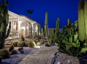 eyJpdCI6IkdpYXJkaW5vIEJvdGFuaWNvLCBSZWxhaXMgR2FyZGVuIENhY3R1cyJ9