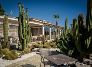 eyJpdCI6IkdpYXJkaW5vIEJvdGFuaWNvLCBSZWxhaXMgR2FyZGVuIENhY3R1cyJ9