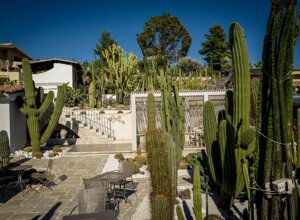 eyJpdCI6IkdpYXJkaW5vIEJvdGFuaWNvLCBSZWxhaXMgR2FyZGVuIENhY3R1cyJ9