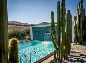 eyJpdCI6IkdpYXJkaW5vIEJvdGFuaWNvLCBSZWxhaXMgR2FyZGVuIENhY3R1cyJ9