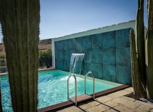 eyJpdCI6IkdpYXJkaW5vIEJvdGFuaWNvLCBSZWxhaXMgR2FyZGVuIENhY3R1cyJ9