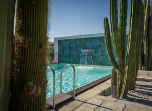 eyJpdCI6IkdpYXJkaW5vIEJvdGFuaWNvLCBSZWxhaXMgR2FyZGVuIENhY3R1cyJ9