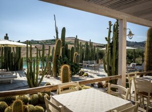 eyJpdCI6IkdpYXJkaW5vIEJvdGFuaWNvLCBSZWxhaXMgR2FyZGVuIENhY3R1cyJ9