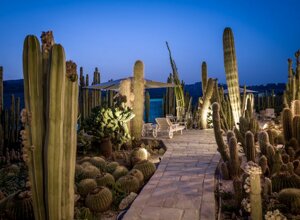 eyJpdCI6IkdpYXJkaW5vIEJvdGFuaWNvLCBSZWxhaXMgR2FyZGVuIENhY3R1cyJ9