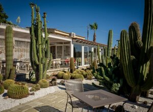 eyJpdCI6IkdpYXJkaW5vIEJvdGFuaWNvLCBSZWxhaXMgR2FyZGVuIENhY3R1cyJ9