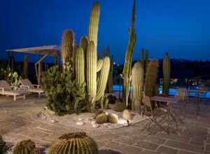 eyJpdCI6IkdpYXJkaW5vIEJvdGFuaWNvLCBSZWxhaXMgR2FyZGVuIENhY3R1cyJ9