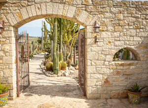 eyJpdCI6IkdpYXJkaW5vIEJvdGFuaWNvLCBSZWxhaXMgR2FyZGVuIENhY3R1cyJ9