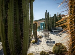 eyJpdCI6IkdpYXJkaW5vIEJvdGFuaWNvLCBSZWxhaXMgR2FyZGVuIENhY3R1cyJ9