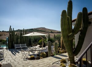 eyJpdCI6IkdpYXJkaW5vIEJvdGFuaWNvLCBSZWxhaXMgR2FyZGVuIENhY3R1cyJ9