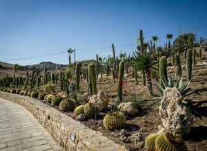 eyJpdCI6IkdpYXJkaW5vIEJvdGFuaWNvLCBSZWxhaXMgR2FyZGVuIENhY3R1cyJ9