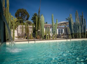 eyJpdCI6IkdpYXJkaW5vIEJvdGFuaWNvLCBSZWxhaXMgR2FyZGVuIENhY3R1cyJ9