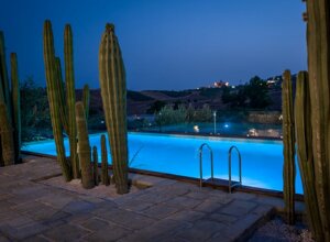 eyJpdCI6IkdpYXJkaW5vIEJvdGFuaWNvLCBSZWxhaXMgR2FyZGVuIENhY3R1cyJ9