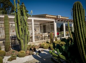 eyJpdCI6IkdpYXJkaW5vIEJvdGFuaWNvLCBSZWxhaXMgR2FyZGVuIENhY3R1cyJ9