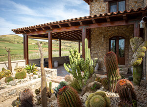 eyJpdCI6IkdpYXJkaW5vIEJvdGFuaWNvLCBSZWxhaXMgR2FyZGVuIENhY3R1cyJ9