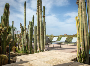 eyJpdCI6IkdpYXJkaW5vIEJvdGFuaWNvLCBSZWxhaXMgR2FyZGVuIENhY3R1cyJ9