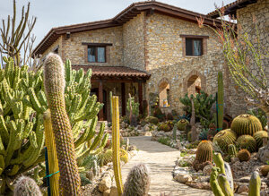 eyJpdCI6IkdpYXJkaW5vIEJvdGFuaWNvLCBSZWxhaXMgR2FyZGVuIENhY3R1cyJ9