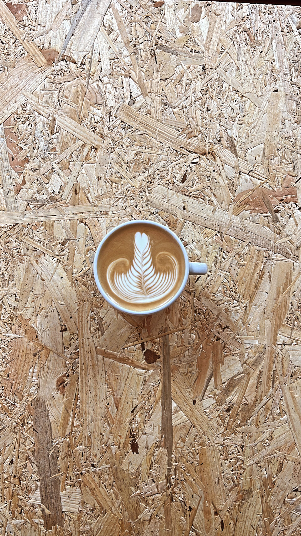 Miglior corso latte art Cagliari Sardegna