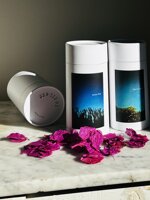 fiori-di-notte-sen-tie-ri