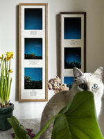 fiori-di-notte-sen-tie-ri