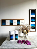 fiori-di-notte-sen-tie-ri