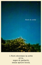 fiori-di-notte-sen-tie-ri