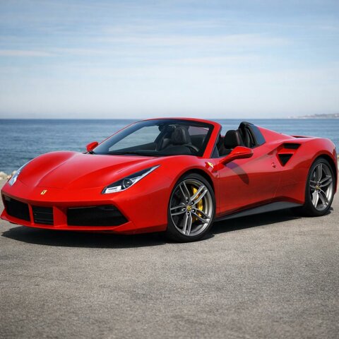 whatsapp image 2026-02-21 at 16.03.26 copia.jpeg