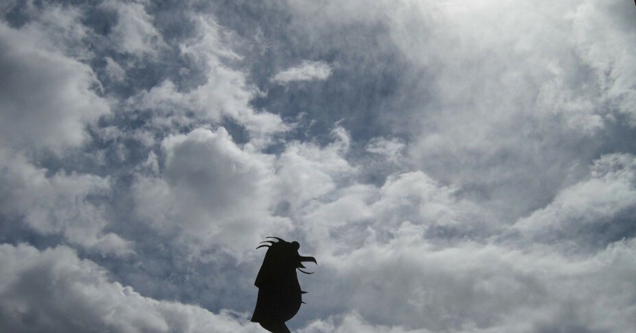 pingu tra le nuvole.jpeg