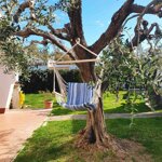 amaca-poltrona-twist-cbraccioli-150x120-cm