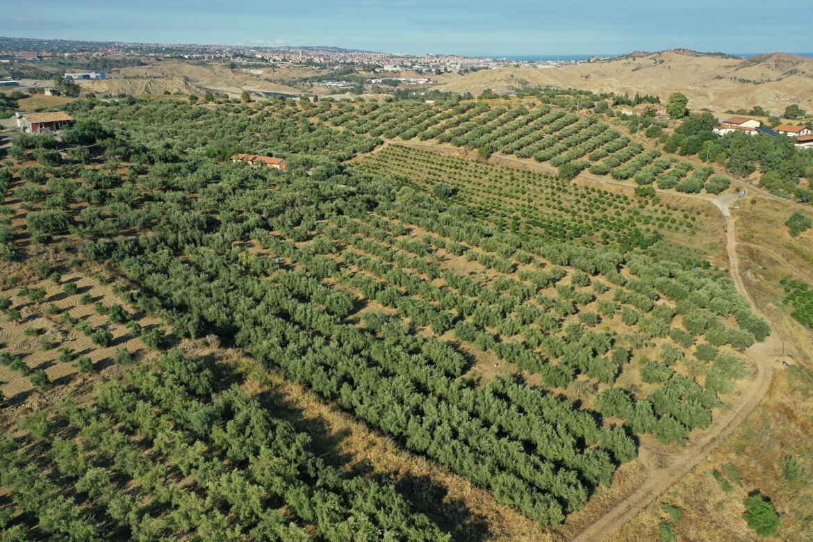 drone terreno cortese azienda agricola