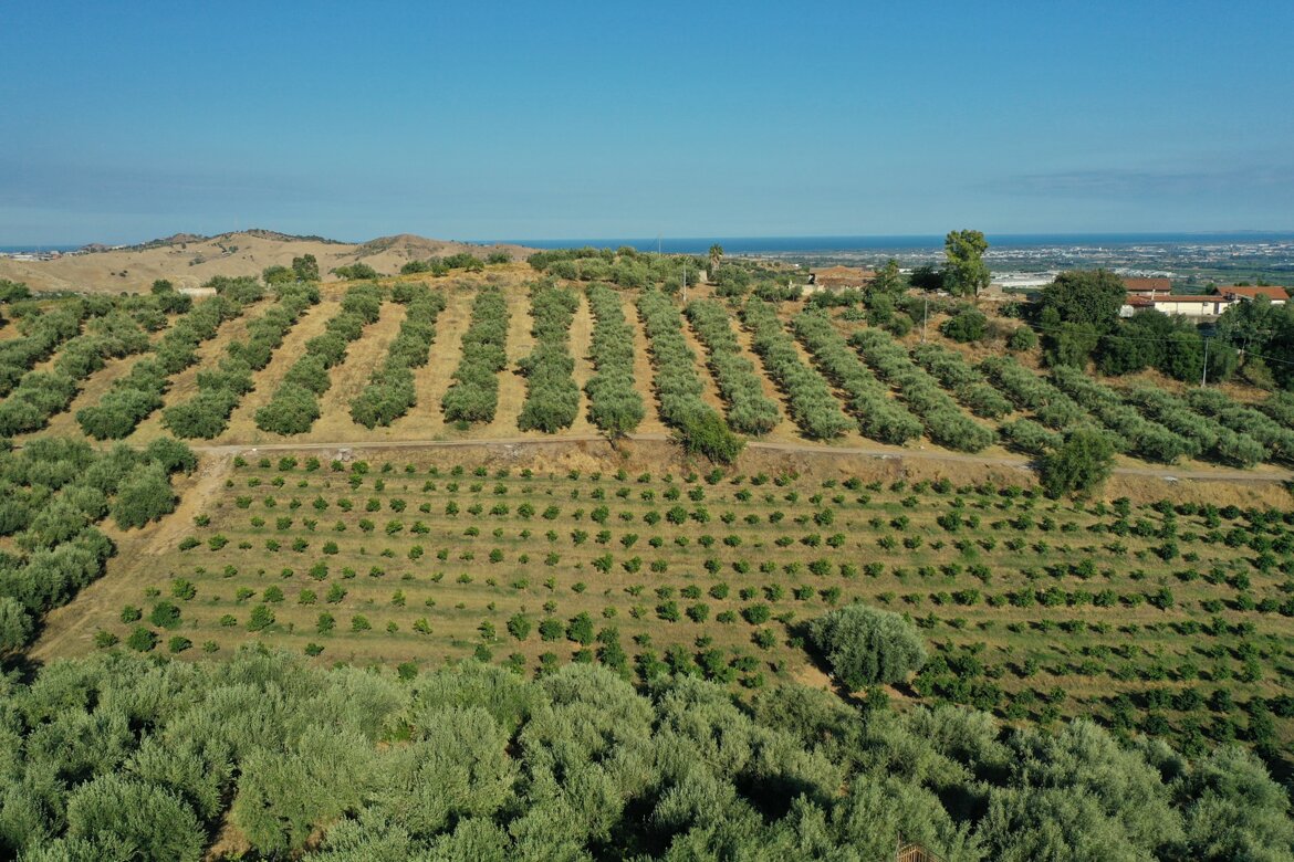 drone terreno cortese azienda agricola